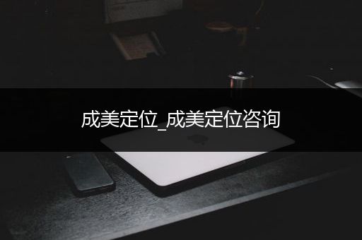成美定位_成美定位咨询